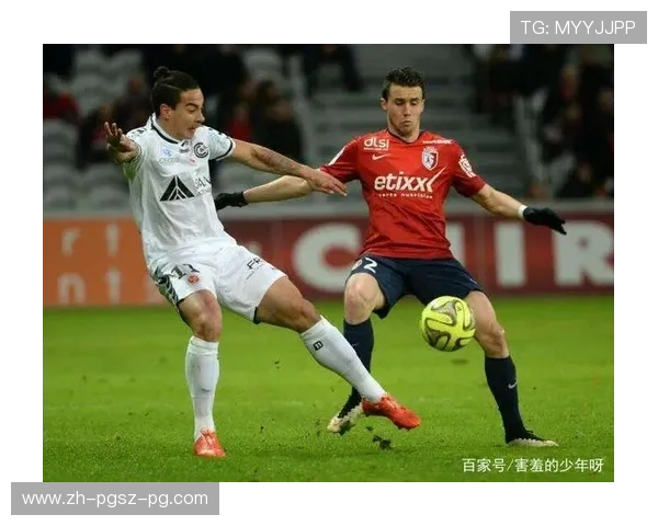 法甲历史表现纵览