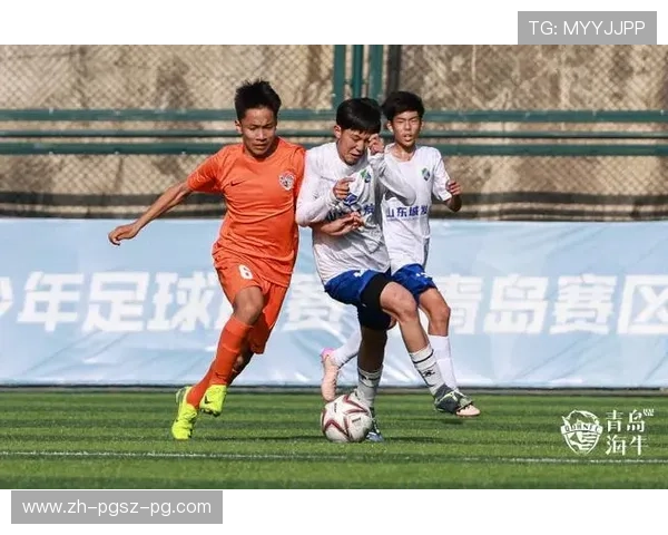 青岛赛区足球赛事观察：青训发展与战术革新交汇的赛场启示