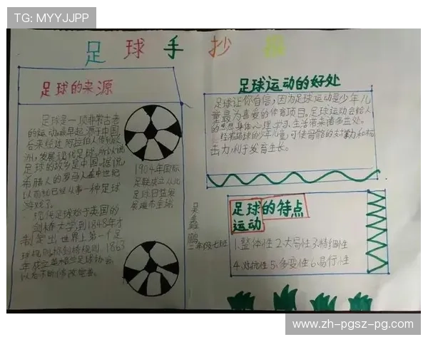 足球的历史与文化，如何了解这项运动的起源与发展